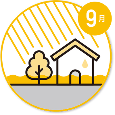 9月
