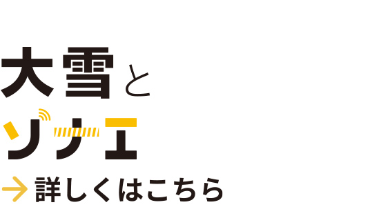 大雪とソナエ